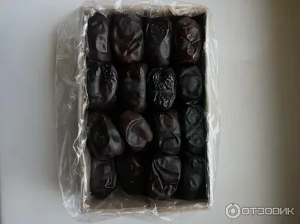 تصویر 3 از خرما مضافتی مهرستان با خاستگاه بومی معتبر و شرایط استثنایی